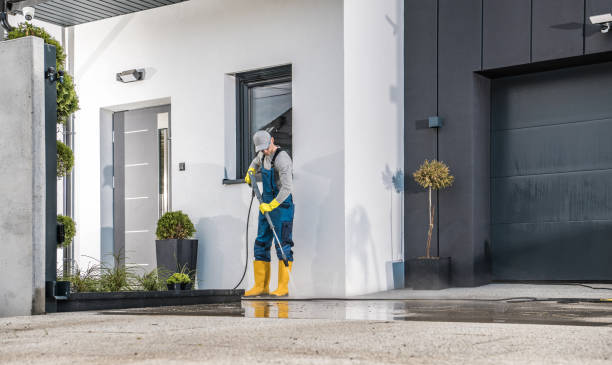 Best Fence Cleaning and Maintenance in Wagon Wheel, AZ